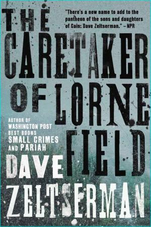Book cover of The Caretaker of Lorne Field
