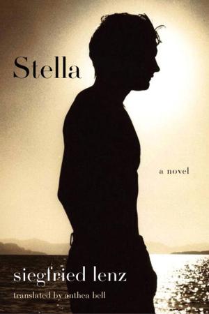 Cover of the book Stella by Peter Stamm