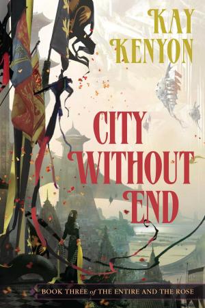 Cover of the book City Without End by Kay Kenyon