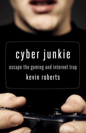 Cover of the book Cyber Junkie by Michael G. Wetter, PsyD, Eileen Bailey