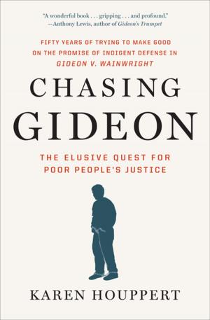 Book cover of Chasing Gideon