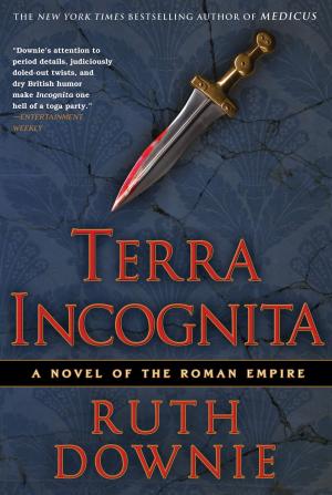 Cover of the book Terra Incognita by Johanna Stiebert