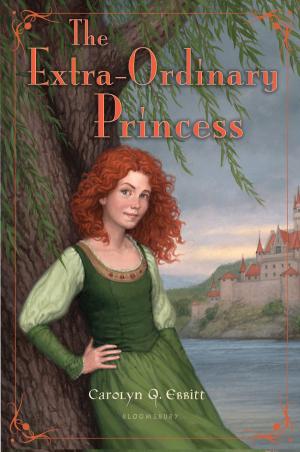 Cover of the book The Extra-Ordinary Princess by Rick Broadbent