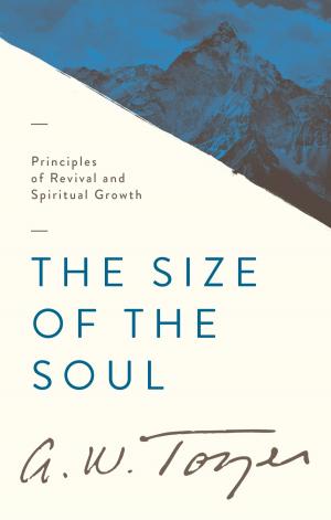 Cover of the book The Size of the Soul by Nancy Leigh DeMoss, Tim Grissom