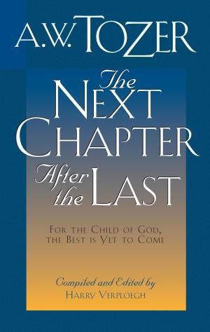 Book cover of The Next Chapter After the Last