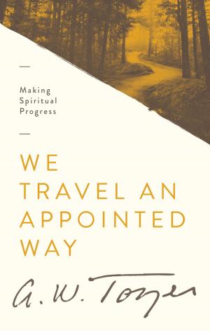 Book cover of We Travel an Appointed Way