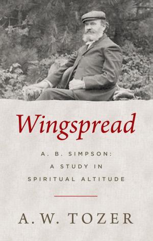 Cover of the book Wingspread by Paul Hutchens