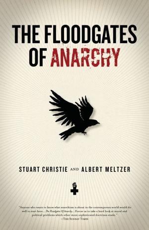 Book cover of The Floodgates of Anarchy