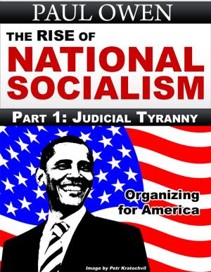 Book cover of The Rise of National Socialism Part 1: Judicial Tyranny