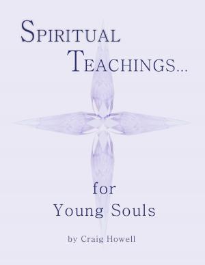 Book cover of Spiritual Teachings for Young Souls