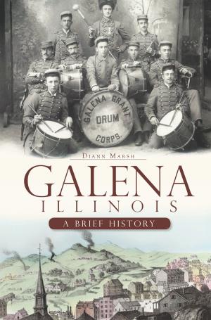 Cover of the book Galena, Illinois by Patrick Tierney Wild