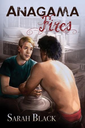 Cover of the book Anagama Fires by K.C. Wells