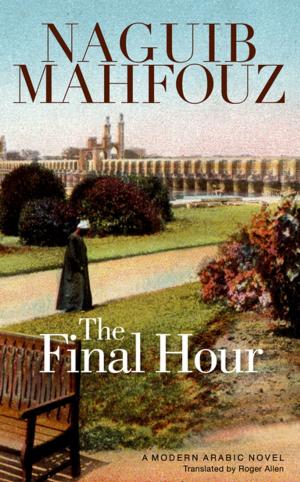 Cover of the book The Final Hour by David DiMeo