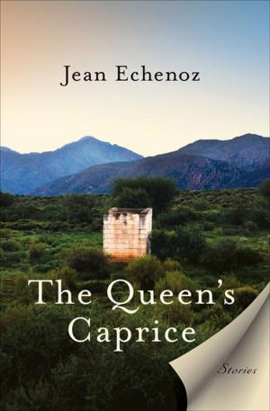 Cover of the book The Queen's Caprice by DT Sanders