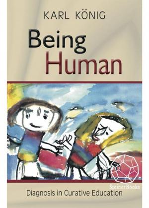Cover of Being Human: Diagnosis In Curative Education