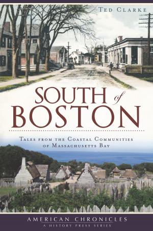 Cover of the book South of Boston by James Tormey