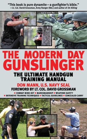 Cover of the book The Modern Day Gunslinger by Ingrid Holmberg, Pelle Holmberg