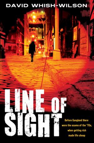 Cover of the book Line of Sight by R. T. W. Lipkin