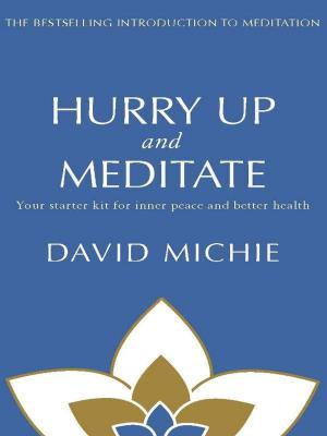 Cover of the book Hurry Up and Meditate by Kevin O'Rourke