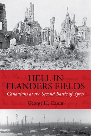 Book cover of Hell in Flanders Fields