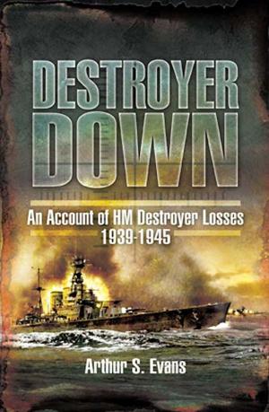 Cover of the book Destroyer Down by Nicholas  Dingle