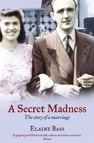 bigCover of the book A Secret Madness by 