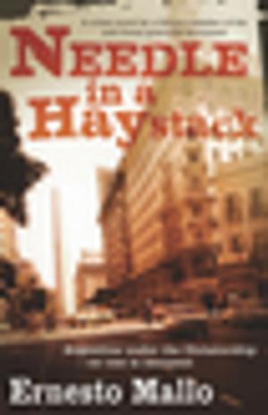 Cover of the book Needle in a Haystack by Hans Werner Kettenbach