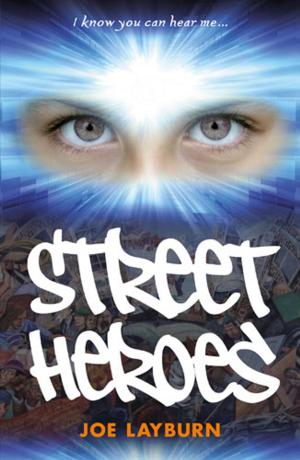 Cover of the book Street Heroes by Chris Caldicott, Carolyn Caldicott