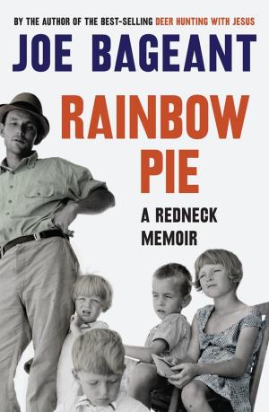 Cover of the book Rainbow Pie by Niels Birbaumer, Jörg Zittlau