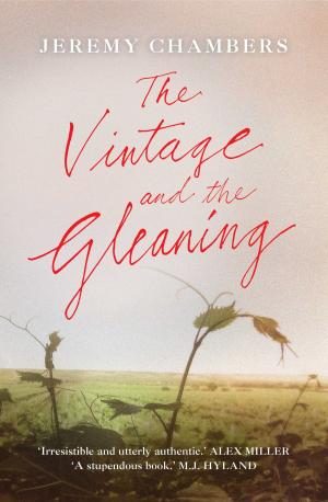 Cover of the book The Vintage and the Gleaning by Jeremy Chambers