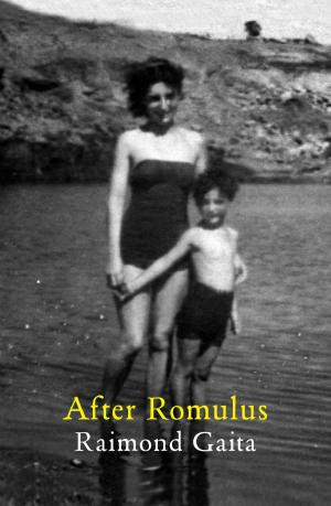 Cover of the book After Romulus by John Clarke