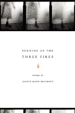 Cover of the book Burning of the Three Fires by Aracelis Girmay