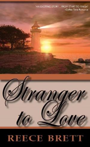 Cover of the book Stranger To Love by Michelle Griep
