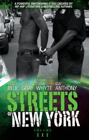 Book cover of Streets of New York