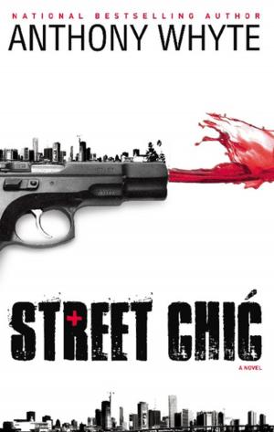 Cover of the book Street Chic by Jerry Lamothe, Anthony Whyte