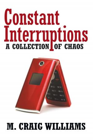 bigCover of the book Constant Interruptions by 
