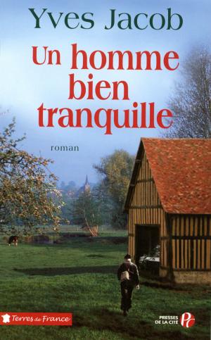 Cover of the book Un homme bien tranquille by Didier VAN CAUWELAERT