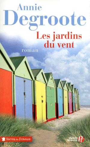 Cover of the book Les Jardins du vent by Gilles FERRAGU