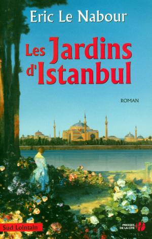 Cover of the book Les Jardins d'Istanbul by Alain DUBOS