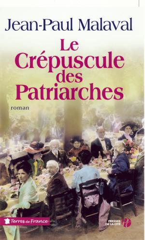 Book cover of Le Crépuscule des patriarches