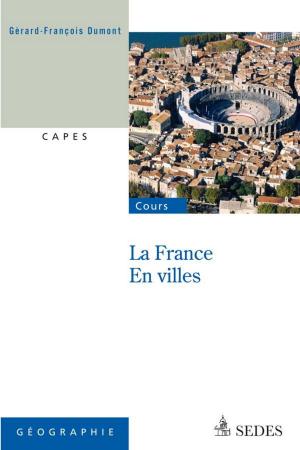 Cover of the book La France en villes by François Bost
