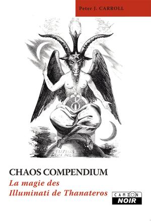 Cover of the book CHAOS COMPENDIUM by Alain Feydri