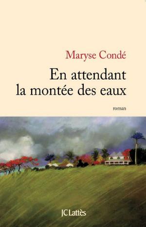 Cover of the book En attendant la montée des eaux by Maryse Vaillant