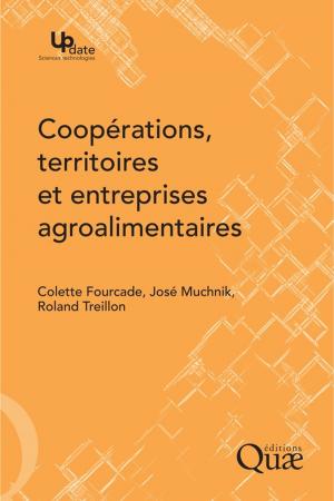 Cover of the book Coopérations, territoires et entreprises agroalimentaires by Jean-Marie Séronie