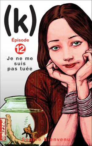 Cover of the book Je ne me suis pas tuée by Sylvie Desrosiers