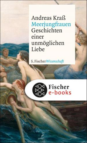 Cover of the book Meerjungfrauen by Adalbert Stifter