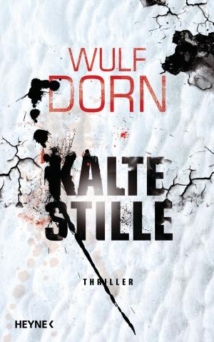 Cover of the book Kalte Stille by Ninni Schulman