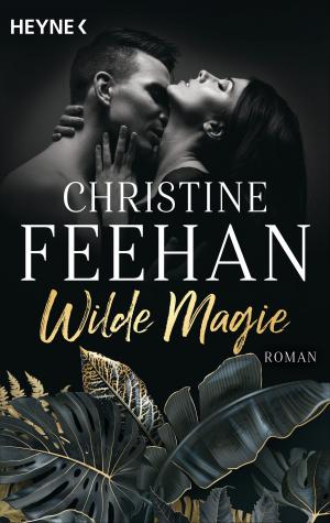 Cover of the book Wilde Magie by Robert Ludlum