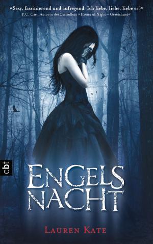 Cover of the book Engelsnacht by Amanda Hocking