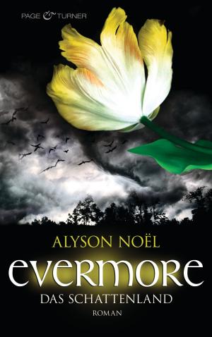 Cover of the book Evermore - Das Schattenland by Frauke Scheunemann